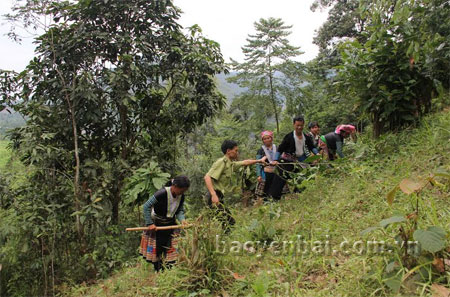 Cán bộ kiểm lâm huyện Văn Chấn tuyên truyền công tác phòng, chống cháy rừng cho đồng bào Mông xã Suối Bu.
